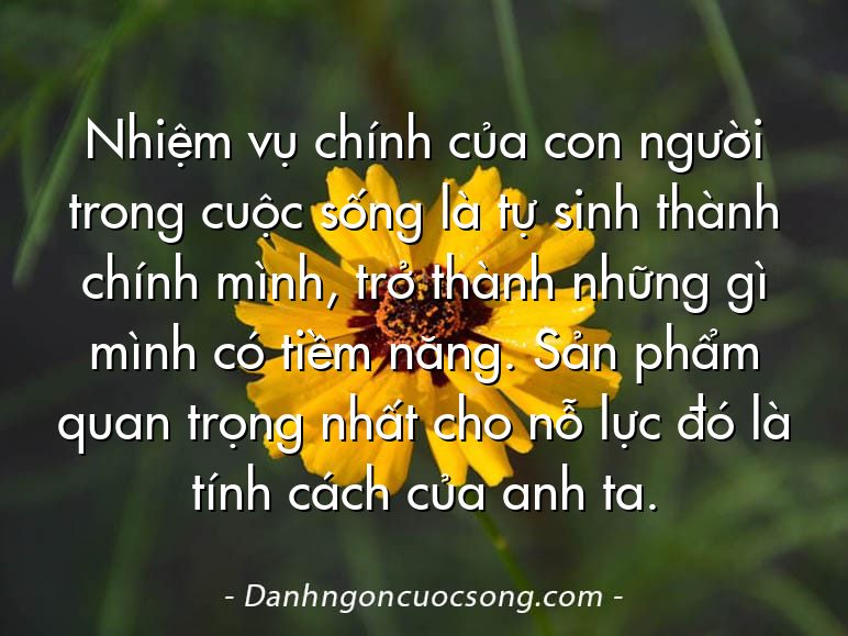 Nhiệm vụ chính của con người trong cuộc sống là tự sinh thành chính mình, trở thành những gì mình có tiềm năng. Sản phẩm quan trọng nhất cho nỗ lực đó là tính cách của anh ta.