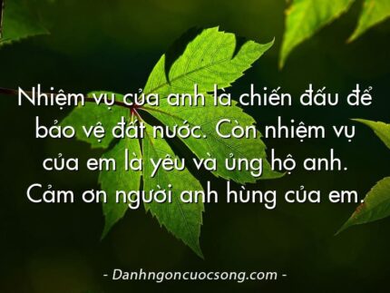 Nhiệm vụ của anh là chiến đấu để bảo vệ đất nước. Còn nhiệm vụ của em là yêu và ủng hộ anh. Cảm ơn người anh hùng của em.