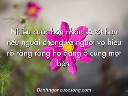 Nhiều cuộc hôn nhân sẽ tốt hơn nếu người chồng và người vợ hiểu rõ ràng rằng họ đang ở cùng một bên.