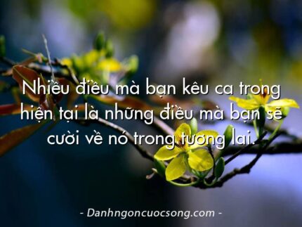 Nhiều điều mà bạn kêu ca trong hiện tại là những điều mà bạn sẽ cười về nó trong tương lai.