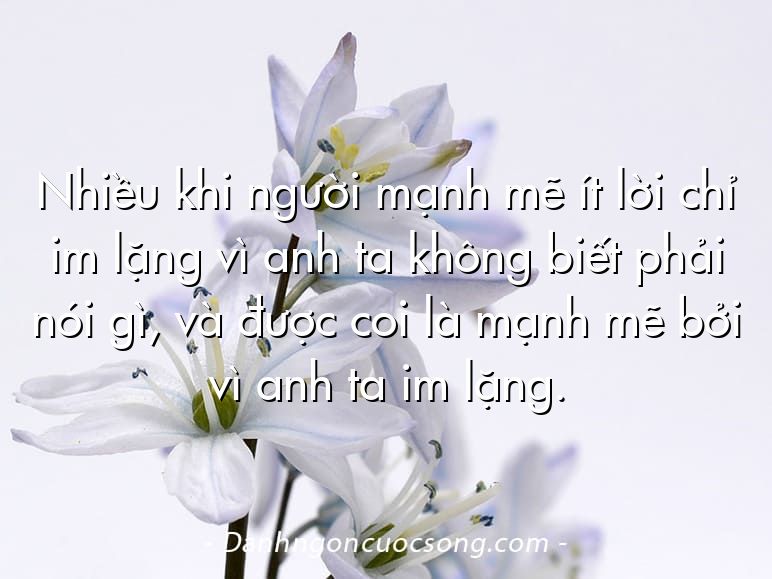 Nhiều khi người mạnh mẽ ít lời chỉ im lặng vì anh ta không biết phải nói gì, và được coi là mạnh mẽ bởi vì anh ta im lặng.
