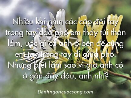 Nhiều khi nhìn các cặp đôi tay trong tay dạo phố em thấy tủi thân lắm, ước gì có anh ở bên để cùng em tay trong tay đi giữa phố. Nhưng biết làm sao vì giờ anh có ở gần đây đâu, anh nhỉ?