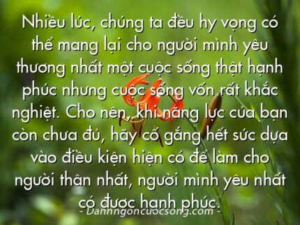 Nhiều lúc, chúng ta đều hy vọng có thể mang lại cho người mình yêu thương nhất một cuộc sống thật hạnh phúc nhưng cuộc sống vốn rất khắc nghiệt. Cho nên, khi năng lực của bạn còn chưa đủ, hãy cố gắng hết sức dựa vào điều kiện hiện có để làm cho người thân nhất, người mình yêu nhất có được hạnh phúc.