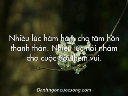 Nhiều lúc hâm hâm cho tâm hồn thanh thản. Nhiều lúc nói nhảm cho cuộc đời thêm vui.