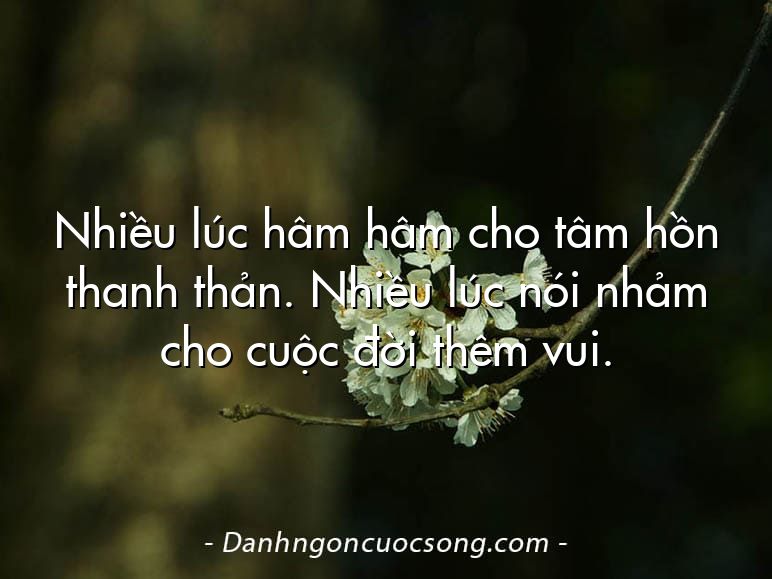Nhiều lúc hâm hâm cho tâm hồn thanh thản. Nhiều lúc nói nhảm cho cuộc đời thêm vui.