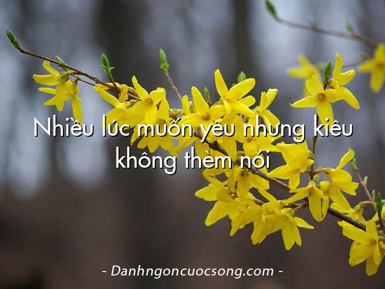 Nhiều lúc muốn yêu nhưng kiêu không thèm nói