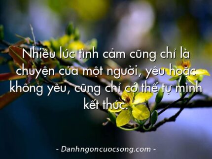 Nhiều lúc tình cảm cũng chỉ là chuyện của một người, yêu hoặc không yêu, cũng chỉ có thể tự mình kết thúc.