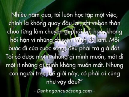 Nhiều năm qua, tôi luôn học tập một việc, chính là không quay đầu lại, chỉ vì bản thân chưa từng làm chuyện gì phải hối hận, không hối hận vì những chuyện mình đã làm. Mỗi bước đi của cuộc sống, đều phải trả giá đắt. Tôi có được một ít những gì mình muốn, mất đi một ít những gì mình không muốn mất. Nhưng con người trên thế giới này, có phải ai cũng như vậy đâu?”