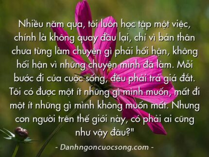 Nhiều năm qua, tôi luôn học tập một việc, chính là không quay đầu lại, chỉ vì bản thân chưa từng làm chuyện gì phải hối hận, không hối hận vì những chuyện mình đã làm. Mỗi bước đi của cuộc sống, đều phải trả giá đắt. Tôi có được một ít những gì mình muốn, mất đi một ít những gì mình không muốn mất. Nhưng con người trên thế giới này, có phải ai cũng như vậy đâu?"