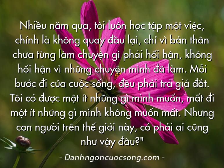Nhiều năm qua, tôi luôn học tập một việc, chính là không quay đầu lại, chỉ vì bản thân chưa từng làm chuyện gì phải hối hận, không hối hận vì những chuyện mình đã làm. Mỗi bước đi của cuộc sống, đều phải trả giá đắt. Tôi có được một ít những gì mình muốn, mất đi một ít những gì mình không muốn mất. Nhưng con người trên thế giới này, có phải ai cũng như vậy đâu?"