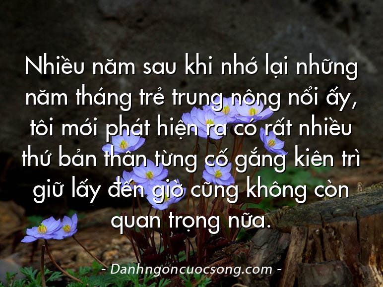 Nhiều năm sau khi nhớ lại những năm tháng trẻ trung nông nổi ấy, tôi mới phát hiện ra có rất nhiều thứ bản thân từng cố gắng kiên trì giữ lấy đến giờ cũng không còn quan trọng nữa.