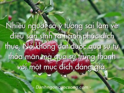 Nhiều người có ý tưởng sai lầm về điều sản sinh ra hạnh phúc đích thực. Nó không đạt được qua sự tự thỏa mãn mà qua sự trung thành với một mục đích đáng giá.