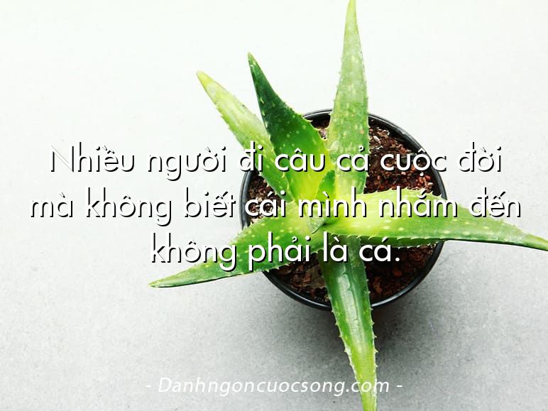 Nhiều người đi câu cả cuộc đời mà không biết cái mình nhắm đến không phải là cá.