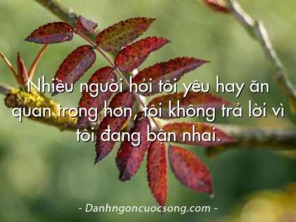 Nhiều người hỏi tôi yêu hay ăn quan trọng hơn, tôi không trả lời vì tôi đang bận nhai.