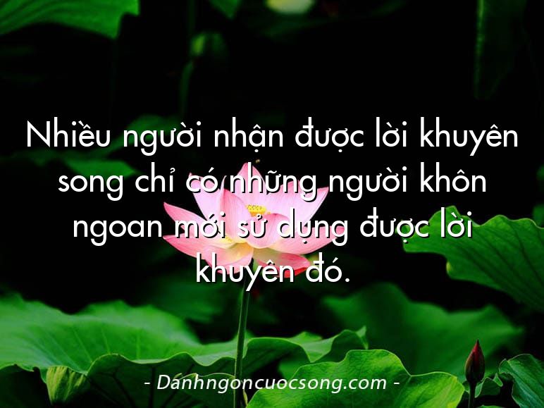 Nhiều người nhận được lời khuyên song chỉ có những người khôn ngoan mới sử dụng được lời khuyên đó.