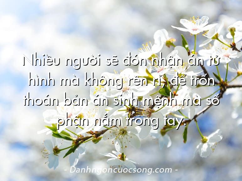 Nhiều người sẽ đón nhận án tử hình mà không rên rỉ, để trốn thoán bản án sinh mệnh mà số phận nắm trong tay.