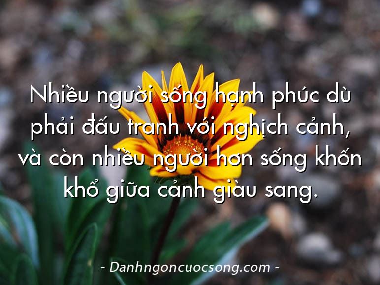 Nhiều người sống hạnh phúc dù phải đấu tranh với nghịch cảnh, và còn nhiều người hơn sống khốn khổ giữa cảnh giàu sang.