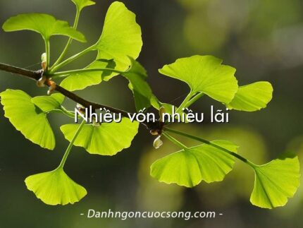 Nhiều vốn nhiều lãi