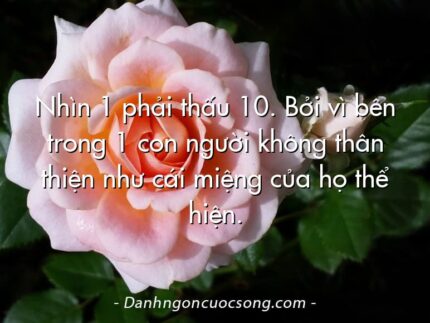 Nhìn 1 phải thấu 10. Bởi vì bên trong 1 con người không thân thiện như cái miệng của họ thể hiện.