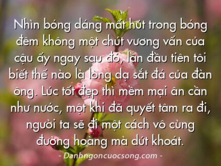 Nhìn bóng dáng mất hút trong bóng đêm không một chút vương vấn của cậu ấy ngay sau đó, lần đầu tiên tôi biết thế nào là lòng dạ sắt đá của đàn ông. Lúc tốt đẹp thì mềm mại ân cần như nước, một khi đã quyết tâm ra đi, người ta sẽ đi một cách vô cùng đường hoàng mà dứt khoát.