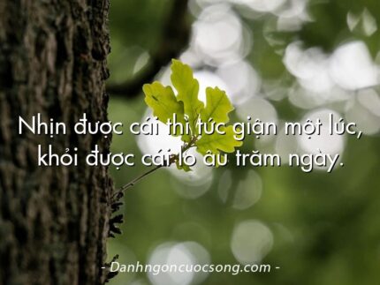 Nhịn được cái thì tức giận một lúc, khỏi được cái lo âu trăm ngày.