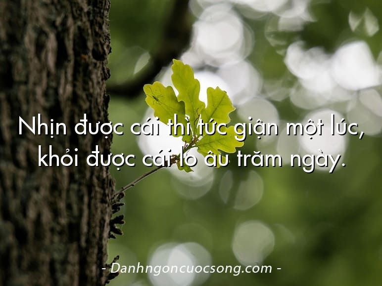 Nhịn được cái thì tức giận một lúc, khỏi được cái lo âu trăm ngày.