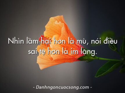 Nhìn lầm hại hơn là mù, nói điều sai tệ hơn là im lặng.