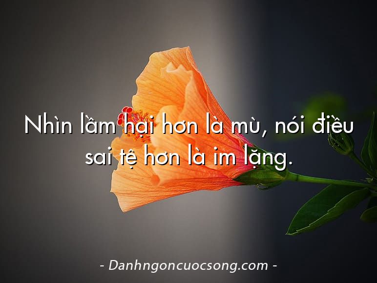 Nhìn lầm hại hơn là mù, nói điều sai tệ hơn là im lặng.