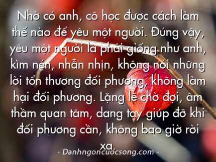 Nhờ có anh, cô học được cách làm thế nào để yêu một người. Đúng vậy, yêu một người là phải giống như anh, kìm nén, nhẫn nhịn, không nói những lời tổn thương đối phương, không làm hại đối phương. Lặng lẽ chờ đợi, âm thầm quan tâm, dang tay giúp đỡ khi đối phương cần, không bao giờ rời xa.