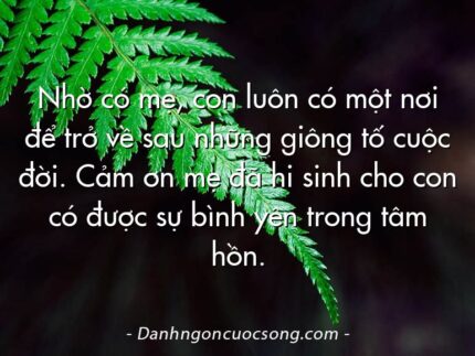 Nhờ có mẹ, con luôn có một nơi để trở về sau những giông tố cuộc đời. Cảm ơn mẹ đã hi sinh cho con có được sự bình yên trong tâm hồn.