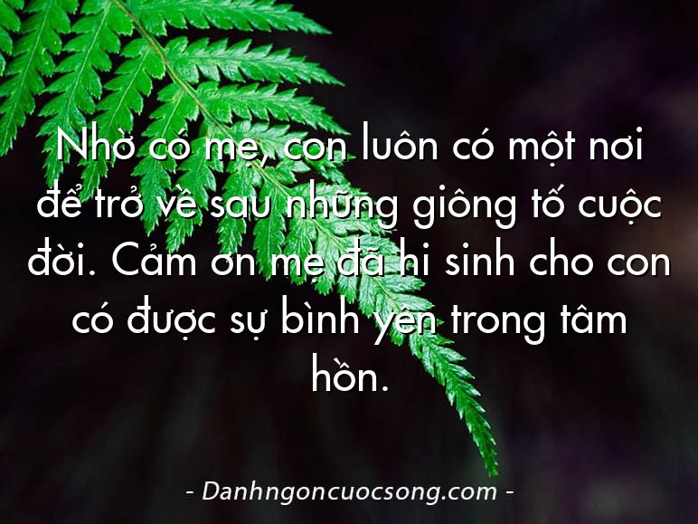 Nhờ có mẹ, con luôn có một nơi để trở về sau những giông tố cuộc đời. Cảm ơn mẹ đã hi sinh cho con có được sự bình yên trong tâm hồn.