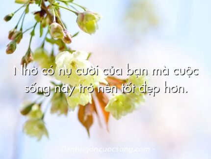 Nhờ có nụ cười của bạn mà cuộc sống này trở nên tốt đẹp hơn.