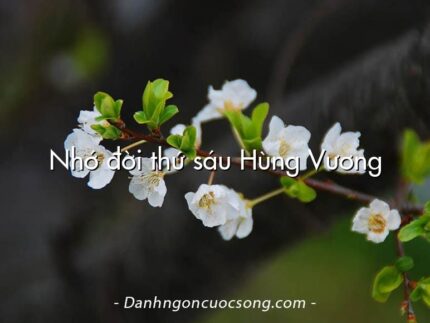 Nhớ đời thứ sáu Hùng Vương