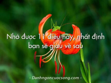 Nhớ được 11 điều này, nhất định bạn sẽ giàu về sau