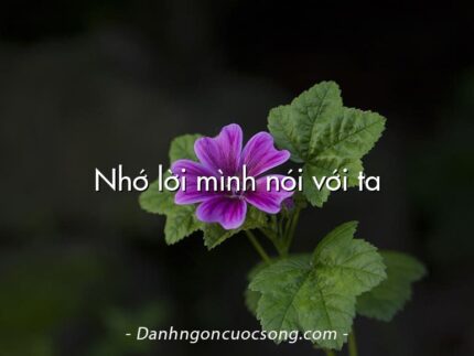 Nhớ lời mình nói với ta