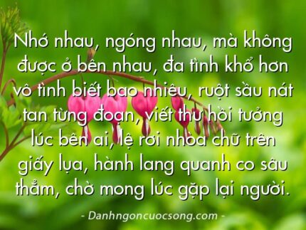 Nhớ nhau, ngóng nhau, mà không được ở bên nhau, đa tình khổ hơn vô tình biết bao nhiêu, ruột sầu nát tan từng đoạn, viết thư hồi tưởng lúc bên ai, lệ rơi nhòa chữ trên giấy lụa, hành lang quanh co sâu thẳm, chờ mong lúc gặp lại người.