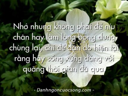 Nhớ nhung không phải để níu chân hay làm lòng bỗng dưng chùng lại, chỉ để dặn dò hiện tại rằng hãy sống xứng đáng với quãng thời gian đã qua.
