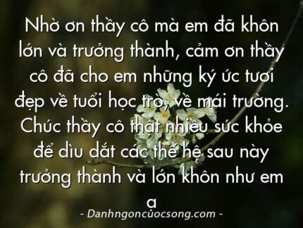 Nhờ ơn thầy cô mà em đã khôn lớn và trưởng thành, cảm ơn thầy cô đã cho em những ký ức tươi đẹp về tuổi học trò, về mái trường. Chúc thầy cô thật nhiều sức khỏe để dìu dắt các thế hệ sau này trưởng thành và lớn khôn như em ạ