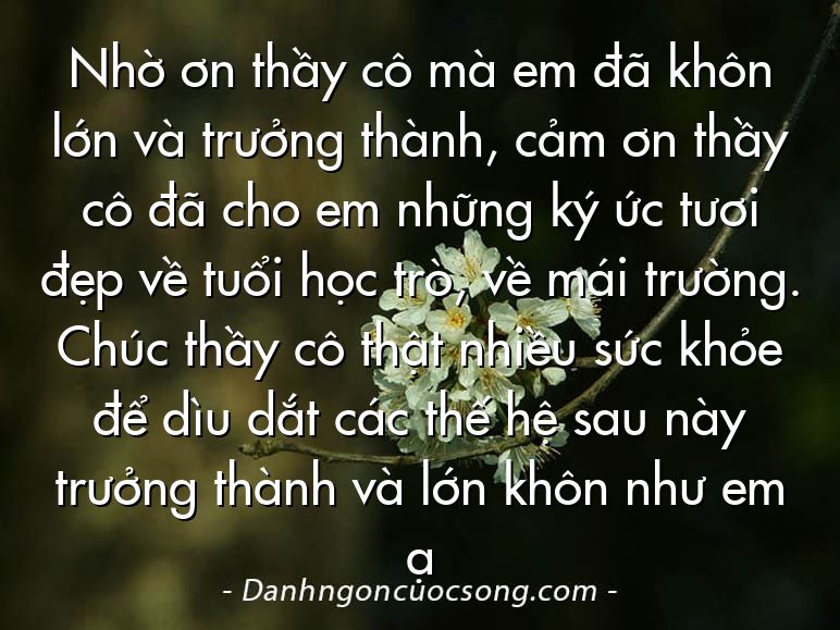 Nhờ ơn thầy cô mà em đã khôn lớn và trưởng thành, cảm ơn thầy cô đã cho em những ký ức tươi đẹp về tuổi học trò, về mái trường. Chúc thầy cô thật nhiều sức khỏe để dìu dắt các thế hệ sau này trưởng thành và lớn khôn như em ạ