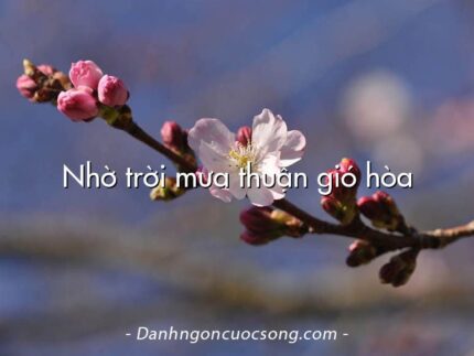 Nhờ trời mưa thuận gió hòa