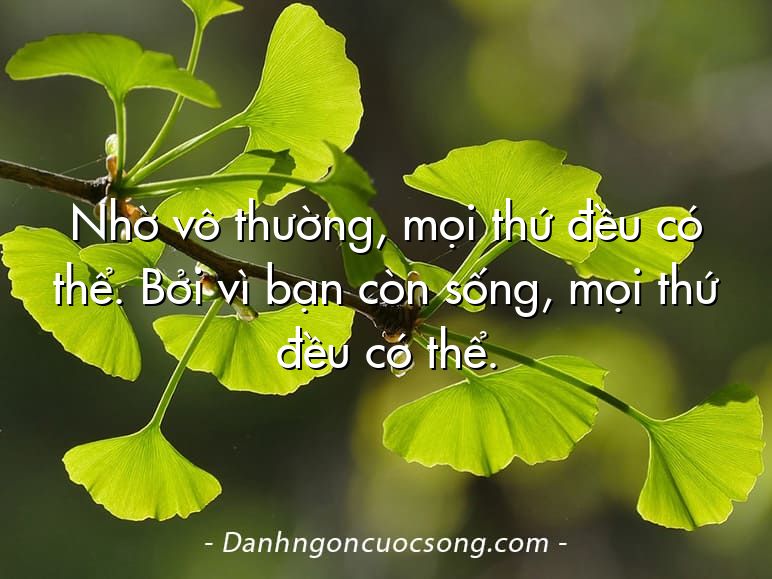 Nhờ vô thường, mọi thứ đều có thể. Bởi vì bạn còn sống, mọi thứ đều có thể.