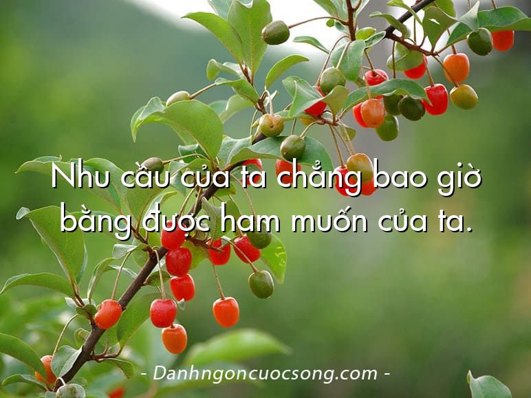 Nhu cầu của ta chẳng bao giờ bằng được ham muốn của ta.