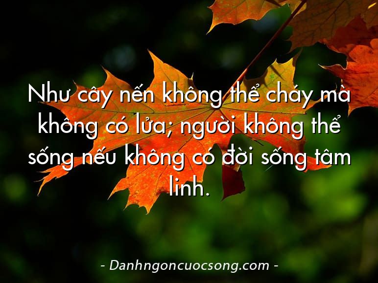 Như cây nến không thể cháy mà không có lửa; người không thể sống nếu không có đời sống tâm linh.