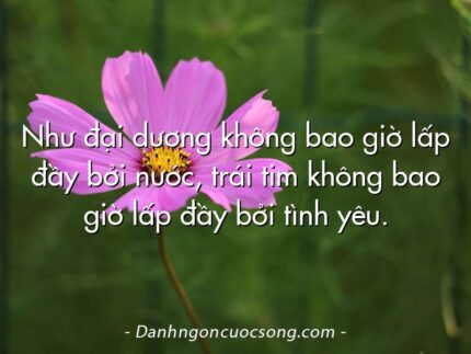Như đại dương không bao giờ lấp đầy bởi nước, trái tim không bao giờ lấp đầy bởi tình yêu.
