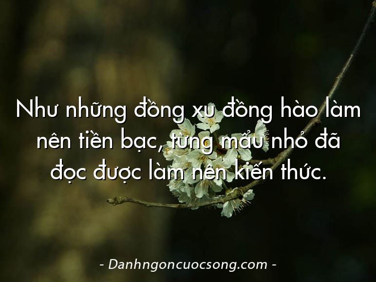 Như những đồng xu đồng hào làm nên tiền bạc, từng mẩu nhỏ đã đọc được làm nên kiến thức.