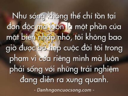 Như sóng không thể chỉ tồn tại đơn độc mà luôn là một phần của mặt biển nhấp nhô, tôi không bao giờ được bó hẹp cuộc đời tôi trong phạm vi của riêng mình mà luôn phải sống với những trải nghiệm đang diễn ra xung quanh.