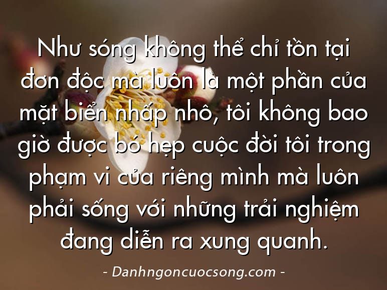 Như sóng không thể chỉ tồn tại đơn độc mà luôn là một phần của mặt biển nhấp nhô, tôi không bao giờ được bó hẹp cuộc đời tôi trong phạm vi của riêng mình mà luôn phải sống với những trải nghiệm đang diễn ra xung quanh.