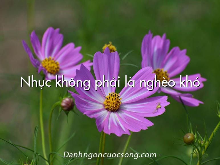 Nhục không phải là nghèo khó