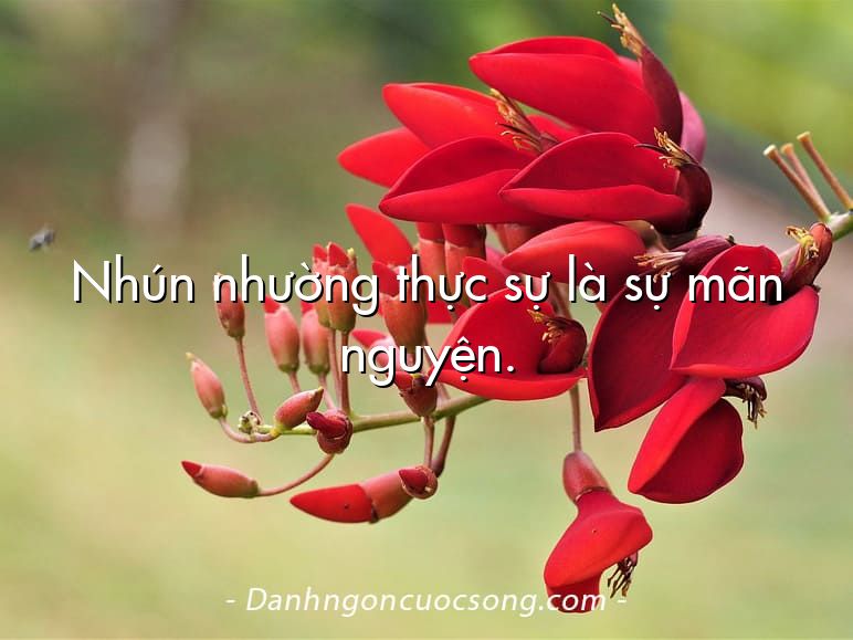 Nhún nhường thực sự là sự mãn nguyện.