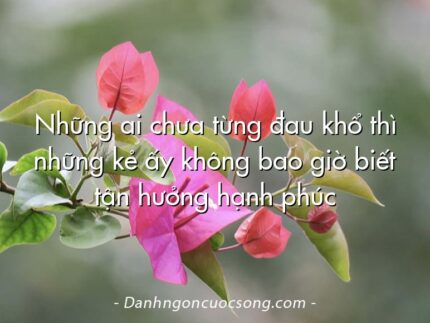 Những ai chưa từng đau khổ thì những kẻ ấy không bao giờ biết tận hưởng hạnh phúc